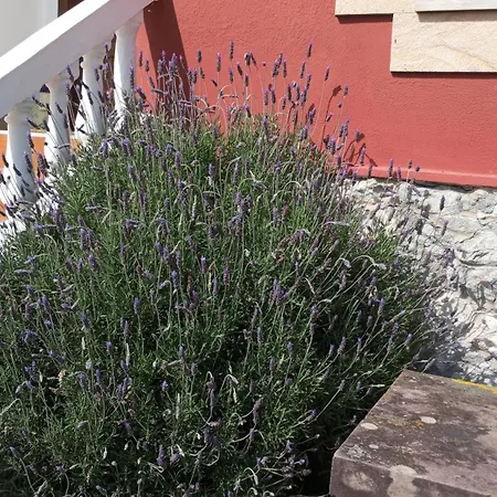 Casa di campagna Brizna *